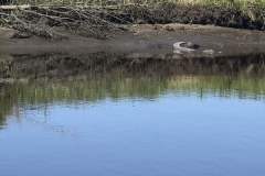 800_IMG_6408