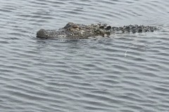 IMG_7920