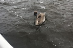 IMG_3806