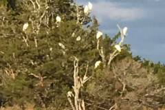 gallery-capt-charlies-adventures-carolina-beach-family-boat-tours-19