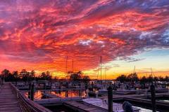 gallery-capt-charlies-adventures-carolina-beach-family-boat-tours-35
