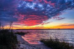 gallery-capt-charlies-adventures-carolina-beach-family-boat-tours-37