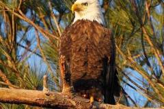 gallery-capt-charlies-adventures-carolina-beach-family-boat-tours-50