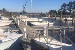 gallery-capt-charlies-adventures-carolina-beach-family-boat-tours-59